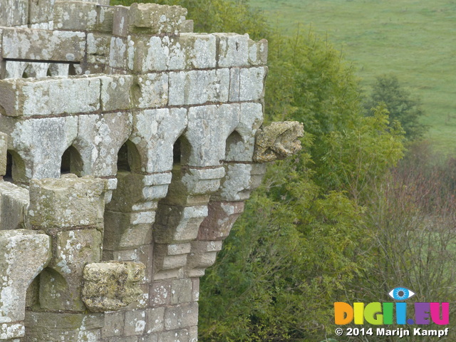 FZ009017 Gargoyles on Raglan Castle gatehouse